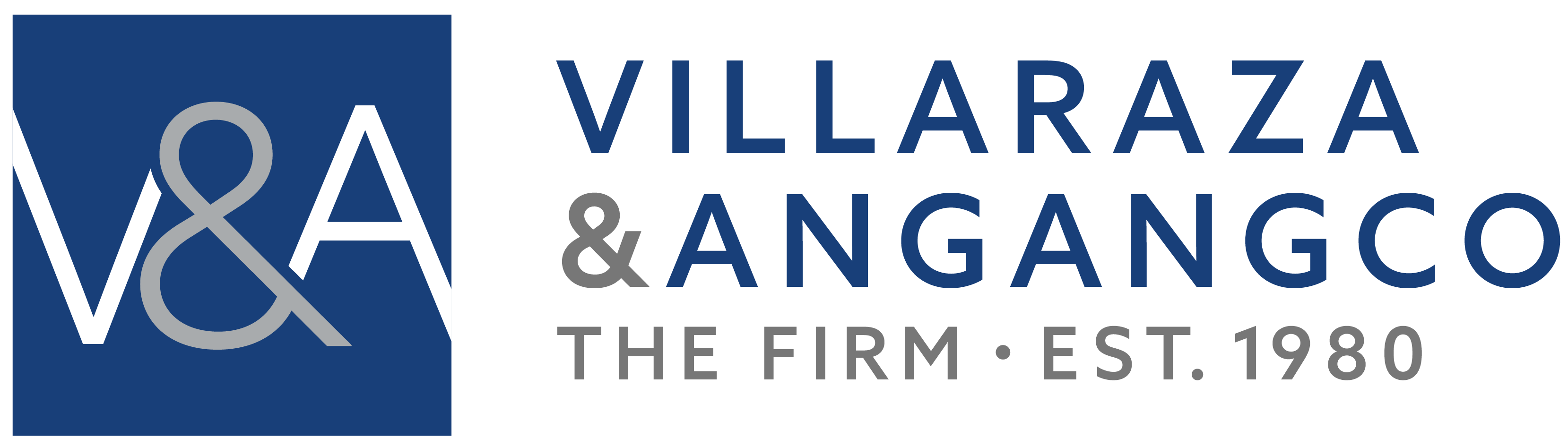 VA_Logo High res (PNG)