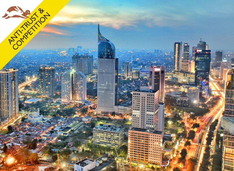 Projects & Energy Special Report: Indonesia – Power struggle