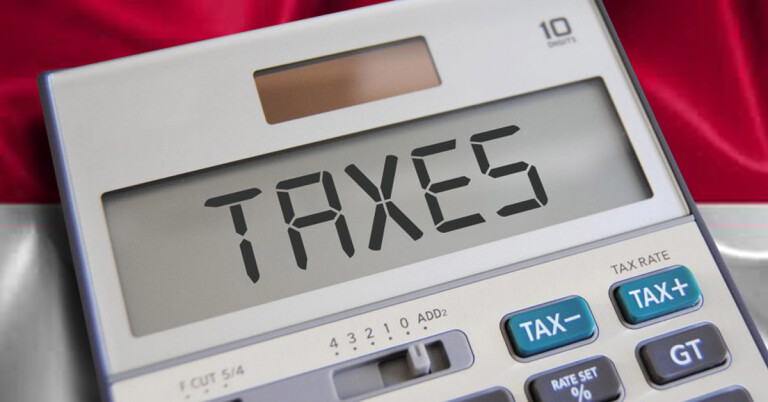 Indonesian government imposes VAT on imported digital goods and services