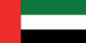 UAE flag