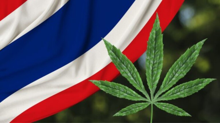 The Effects of the Delisting of Marijuana in Thailand and the Thai Government’s Attempt to Address this