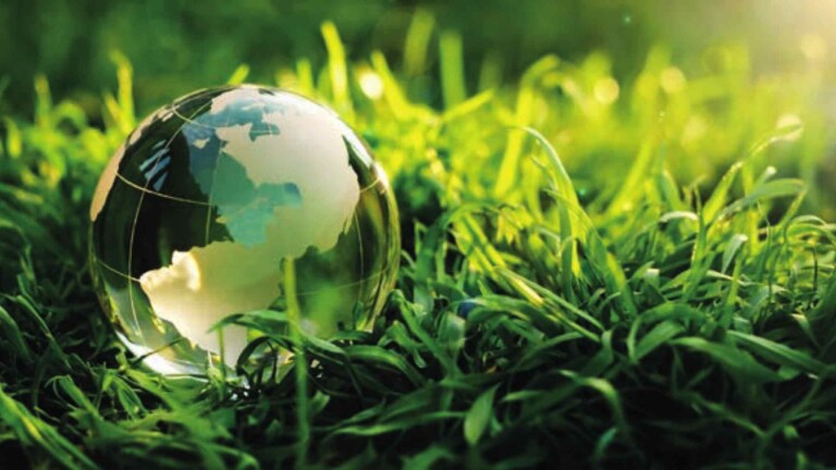 Reimagining Business as Usual: Royal Golden Eagle and Rose Kong give a Masterclass on Sustainability