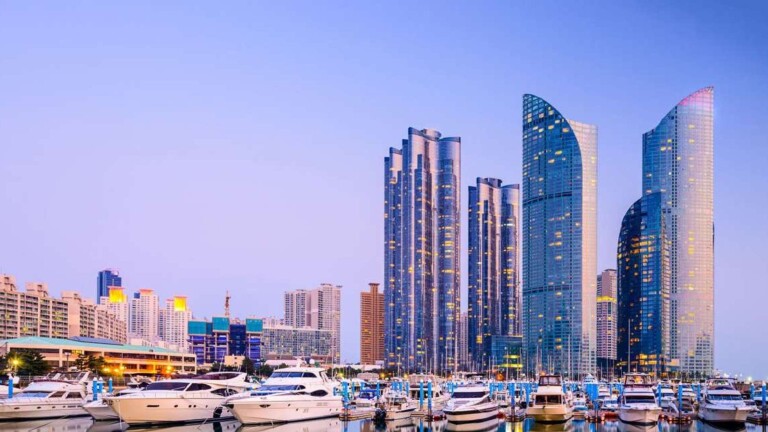 Firms Of The Year Results 2022 South Korea