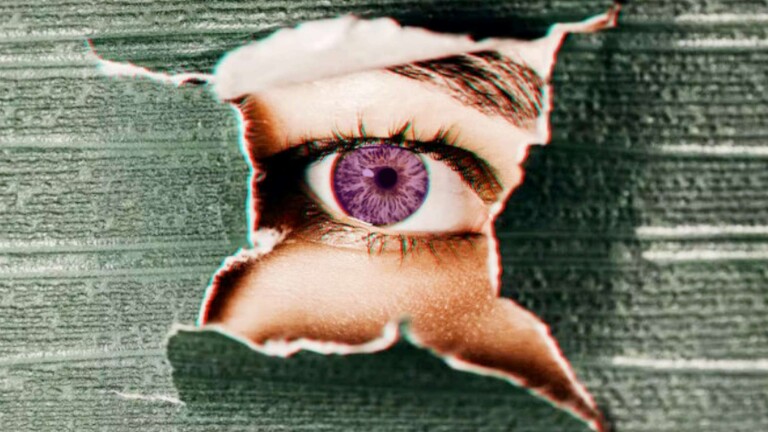 A New Vision for Corporate Lawyers by Peter Connor